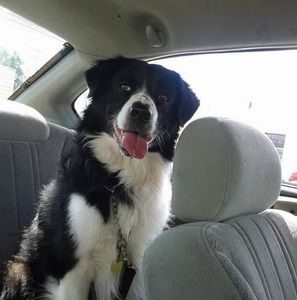 Meet your Posher, Johnny